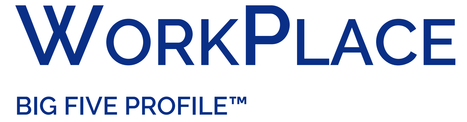 WorkPlace Big Five Profile
